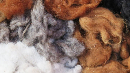 Why Wool is Worth the Investment: Luxury, Sustainability, & Quality